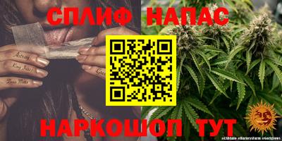 винт Берёзовский