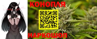 бошки Бийск