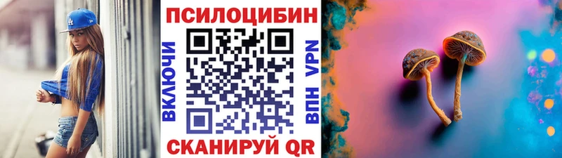 наркотики Чусовой блэк спрут онион Галлюциногенные грибы мицелий