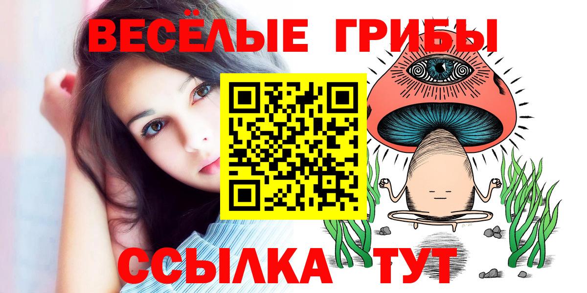 Чусовой  Галлюциногенные грибы Cubensis  Вход с VPN 