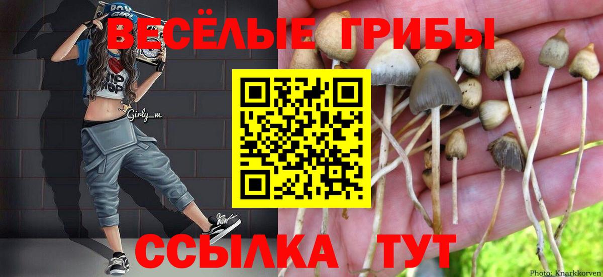 дарнет шоп  Чусовой  Галлюциногенные грибы мухоморы 